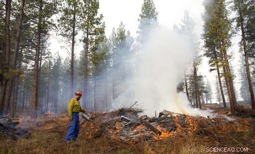 The Forest Management Project Saves Homes from Fires – Is the Success Replicable?