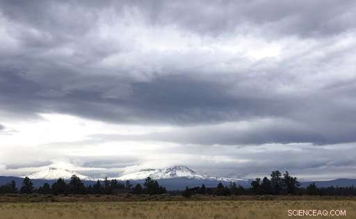 The Forest Management Project Saves Homes from Fires – Is the Success Replicable?