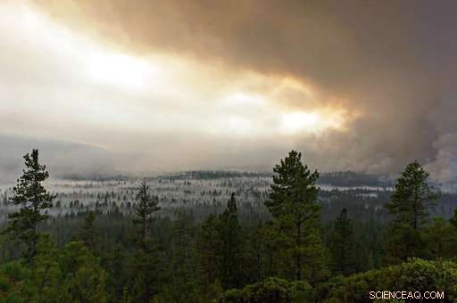 The Forest Management Project Saves Homes from Fires – Is the Success Replicable?