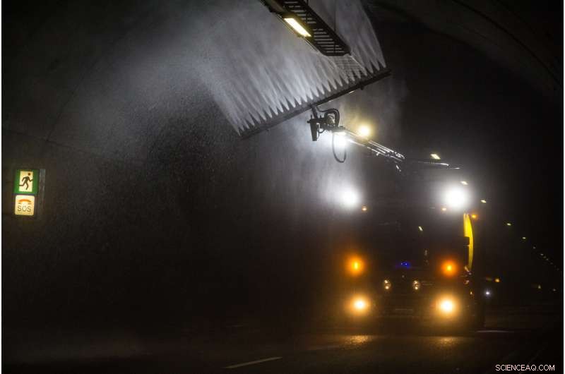 Protecting Roadside Wildlife: A New Detox Strategy for Road Ditches