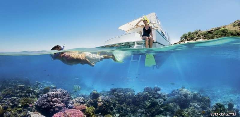Should Visiting the Great Barrier Reef Carry a Higher Price Tag?