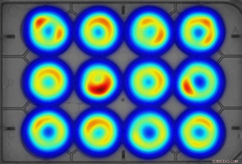 How Fungicides and Antidepressants Disrupt Aquatic Life: Impact on Swimming and Feeding Behaviors
