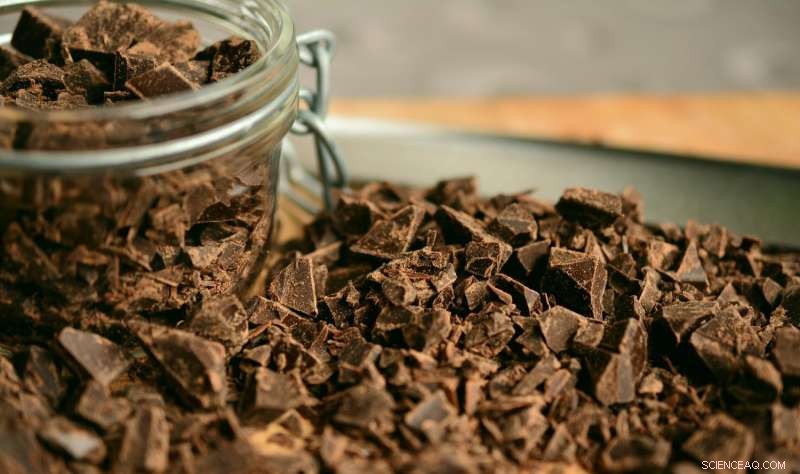 New Study Reveals Cocoa Production Drives Deforestation in Developing Countries