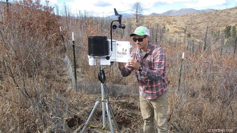 Proactive Wildfire Prevention: Strategies to Stop Fires Before They Ignite