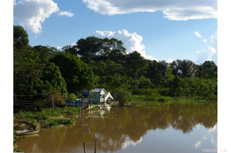 Amazonian Hunters Reduce Wildlife Populations, Yet Forests Stay Intact