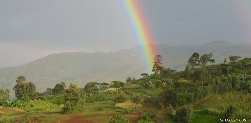 Global Food Insecurity Rising as Conflicts and Climate Change Exacerbate Hunger