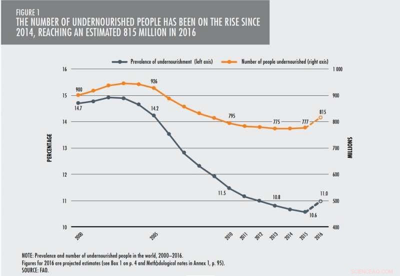 Global Food Insecurity Rising as Conflicts and Climate Change Exacerbate Hunger