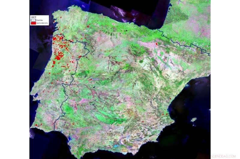 Forest Fires Escalate: Study Highlights Air Quality Threat