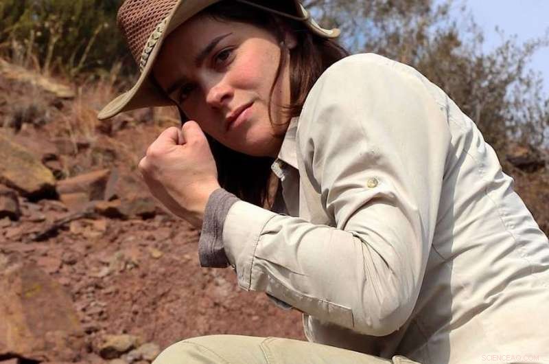 Ancient Karoo Mountains Unveil Secrets of a Massive Extinction Event