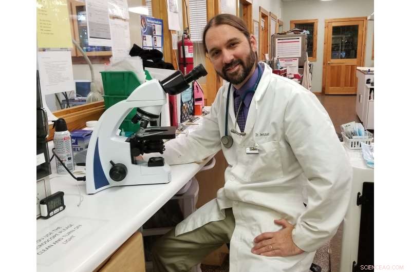 Even Trace Oil Levels Infected Birds Near Deepwater Horizon, Study Finds