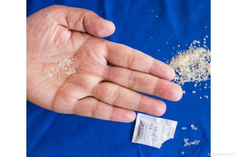 Researchers Explore Complex Carbohydrates to Safeguard Water Quality