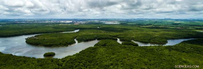 Amazon Hydropower s Environmental Impact Likely Significantly Underestimated