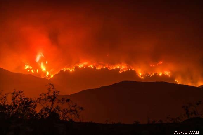 New Study Places Wildfire Risk in Historical Perspective