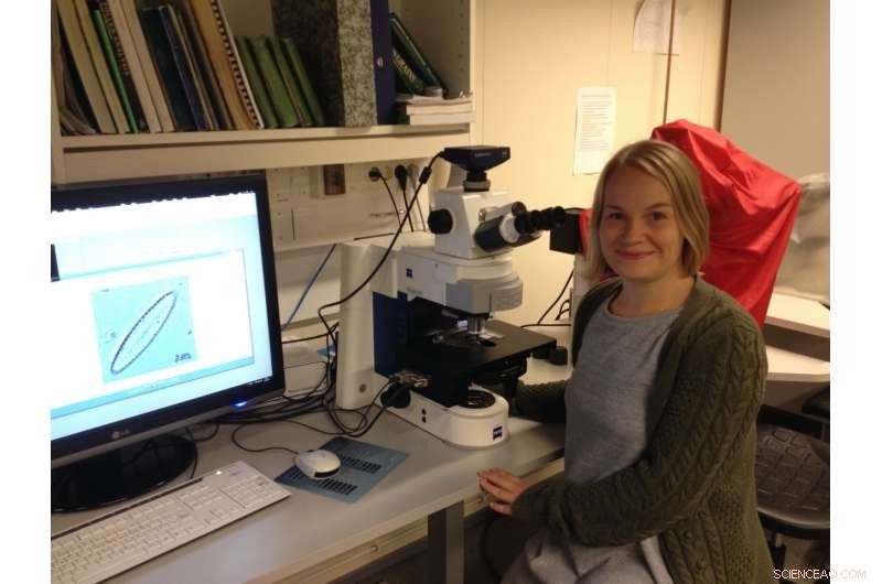 Jakobshavn Ice Stream Retreats Amid Cold Climate in Greenland