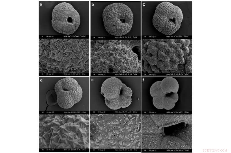 Historic Warm Waters Cause First Antarctic Ice Shelf Melting in 7,000 Years