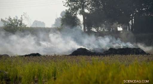 Delhi Prepares for Severe Smog as Air Quality Declines Ahead of Diwali