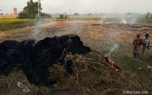 Delhi Prepares for Severe Smog as Air Quality Declines Ahead of Diwali