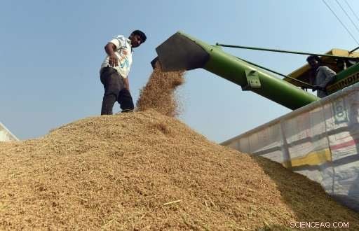 Delhi Prepares for Severe Smog as Air Quality Declines Ahead of Diwali