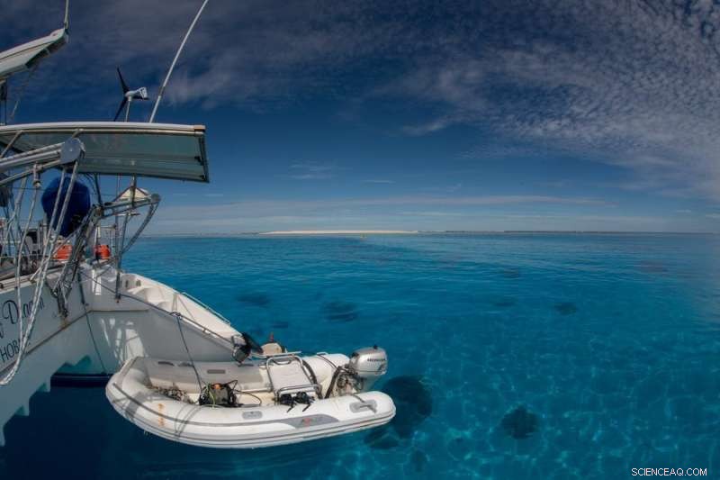 Citizen-Scientist Divers Reveal How Warming Oceans Threaten Marine Life