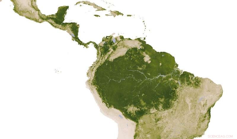 Shallow Soils Shape Savanna Landscapes in South America