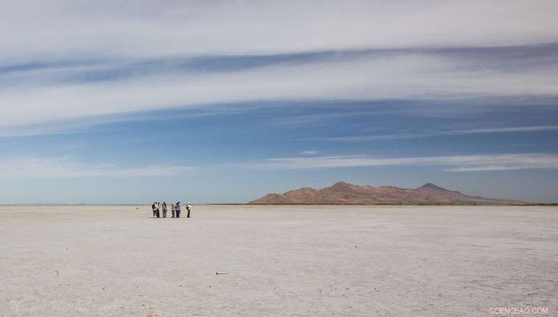 Scientists Warn: Global Saline Lakes Face Critical Decline