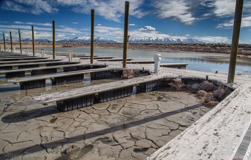Scientists Warn: Global Saline Lakes Face Critical Decline