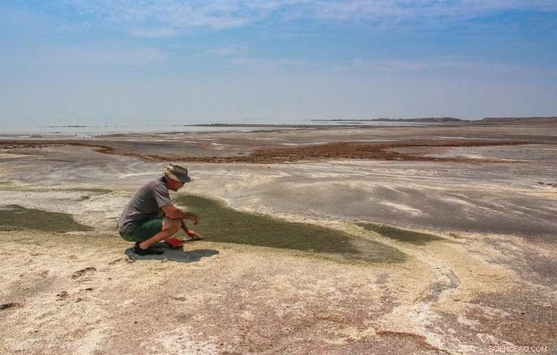 Scientists Warn: Global Saline Lakes Face Critical Decline