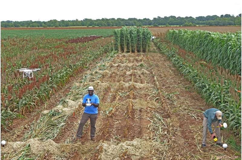 3-D Crop Imaging Boosts Accuracy of Plant Height Estimation in Agriculture