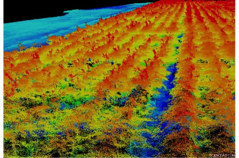 3-D Crop Imaging Boosts Accuracy of Plant Height Estimation in Agriculture