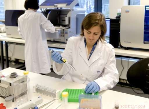 Advanced DNA Laboratories Launched to Aid Global Search for Missing Persons