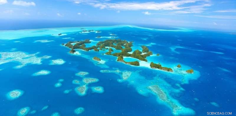 Pacific Marine Reserve Prioritizes Tourist Safety Over Fish Conservation