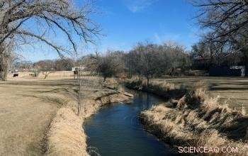 Global Water Consumption in Agricultural Irrigation: A Comprehensive Overview