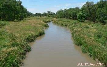 Global Water Consumption in Agricultural Irrigation: A Comprehensive Overview