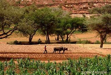 Climate Change Threatens Educational Access: Global Impact & Solutions