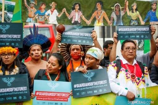 Indigenous Leaders Alarmed: Deforestation Threatens Paris Climate Accord