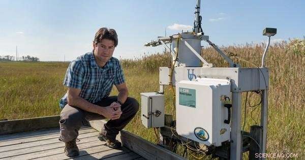 Salt Marshes at a Crossroads: Survival or Decline?