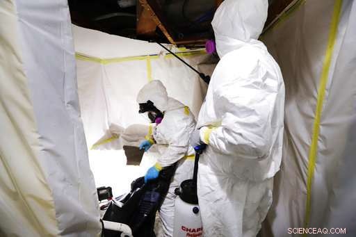 10 Chemicals, Including Asbestos and Dry Cleaning Agent, Under Regulatory Review