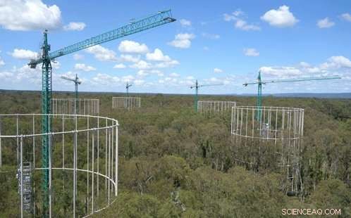 Five Years of EucFACE Research Reveal How Australia Will Respond to Rising CO₂