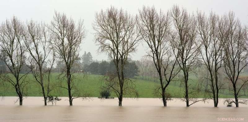 How Climate Change Alters the Foundations of Human Health