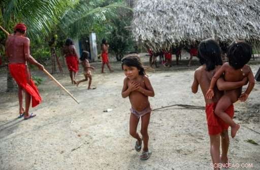 Amazon Encounter Leads to Near-Extinction of the Tzako Waiapi Tribe