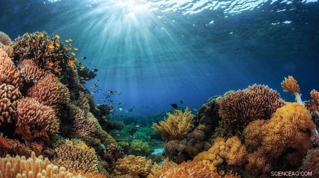 EPFL Research Reveals Oceans Were Significantly Colder Than Previously Estimated