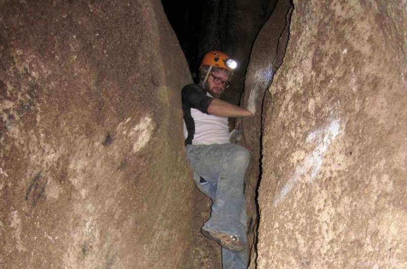 Bats  Guano: A Trusted Window into Climate Change