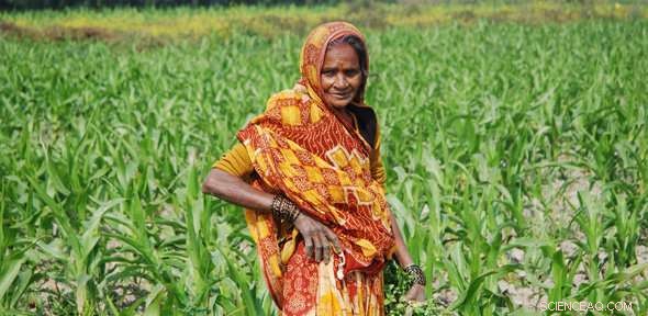 Revolutionizing Indian Agriculture: Modernizing Farming for Tomorrow