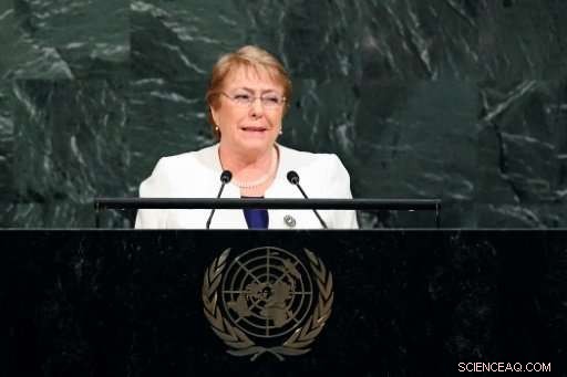 Chile Approves Ban on Plastic Bags in Over 100 Coastal Areas