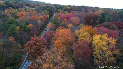 Science Reveals: Jack Frost Is Arriving Later Than Ever