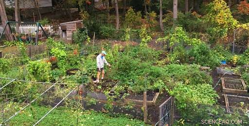 Science Reveals: Jack Frost Is Arriving Later Than Ever