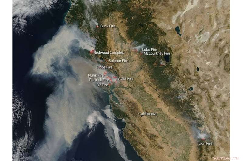 Why California s Wine Country Fires Were Unusually Devastating