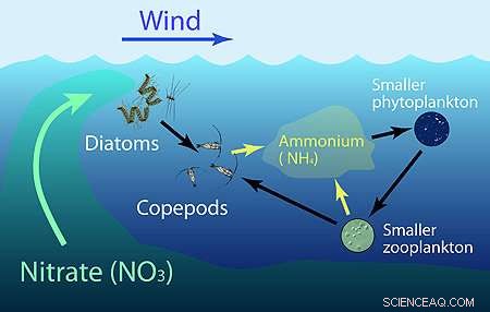 Advanced Model Pinpoints Oceanic Biological Hotspots for Conservation