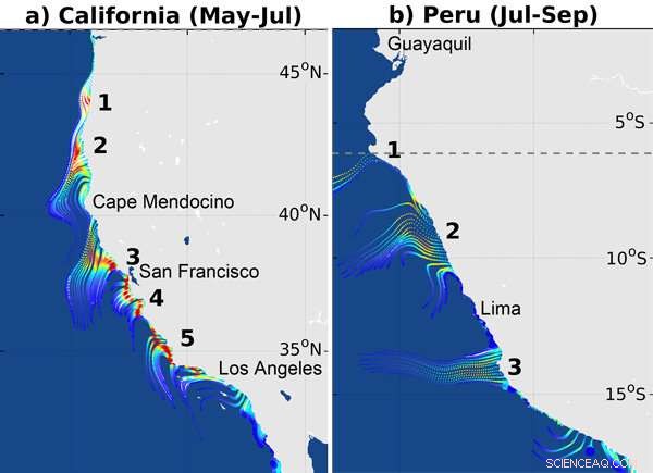 Advanced Model Pinpoints Oceanic Biological Hotspots for Conservation