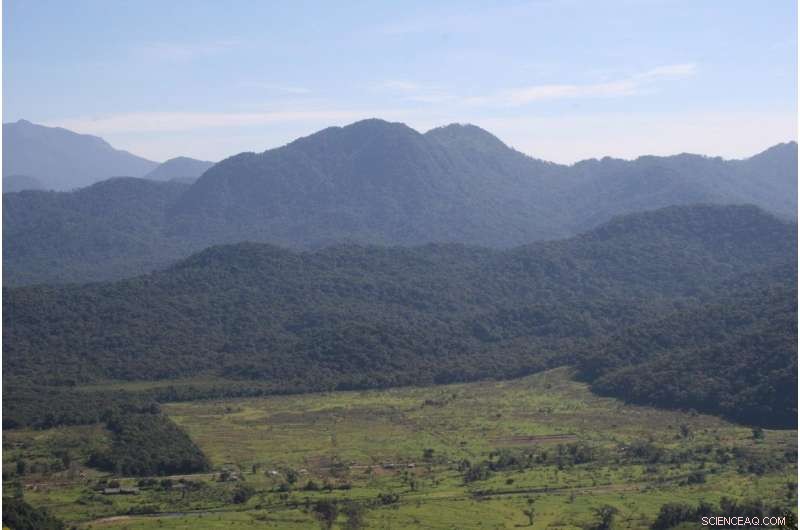How Tropical Forest Reserves Combat Climate Change
